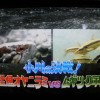 oyanirami3