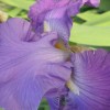 ha09