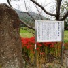 osaba09