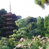 rurikouji