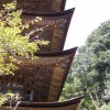 rurikouji 13