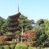 11gatu003 013