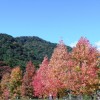 11gatu004 009