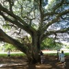 hayai 003