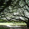 hayai 004