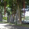 hayai 027