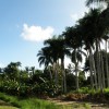 hayai 045