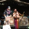 hayai 065