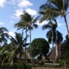 hayai 067