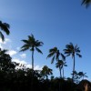 hayai 068
