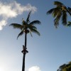 hayai 071