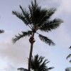 hayai 077