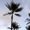 hayai 078