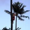 hayai 079