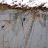 tori2 006
