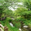 botan 001