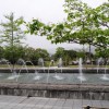 botan 003