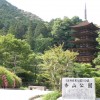 yamaguti 011