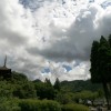natu 006