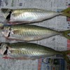 aji 002