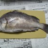 kosyoudai