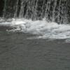 PB020013