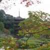 rurikouji