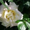 P5040074