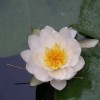 P7150040