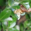 P7230027