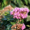 P7260085