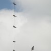 P9120015