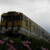 PA060002