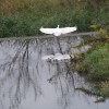 PA300035