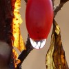 P1010915