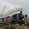 P1020266