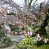 P1030253