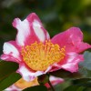 P1050094