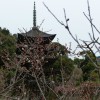 P1070355