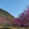 P1080887
