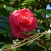 P1100370
