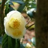 P1100505