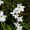 P1110061
