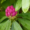 P1110551