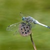 P1190261