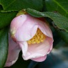 P1280341