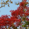P1280801