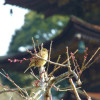 P1280280
