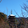 P1280341