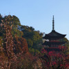 P1280909